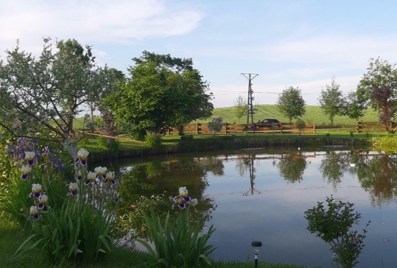 Agroturystyka Nad Stawem Mazuchowka Wydminy Buitenkant foto